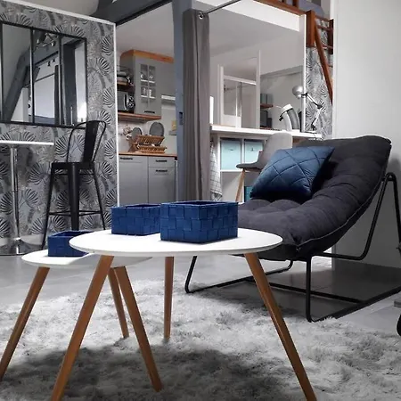Loft Luxe Montargis: Central Haven with Bikes & River Views Exterior photo