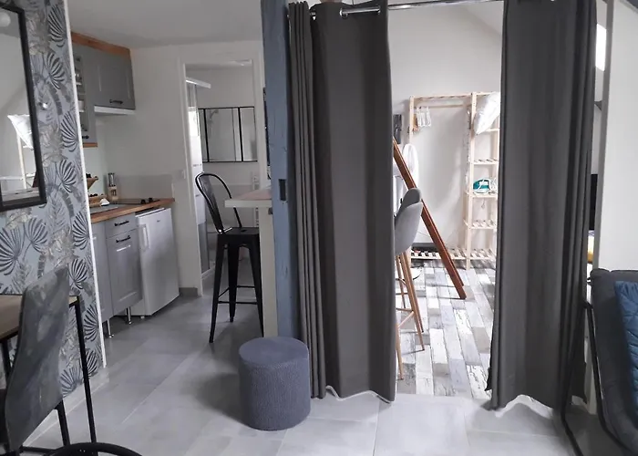 Loft Haut De Gamme Centre Montargis, Place De Parking, Local A Velos, Linge De Lits Et Serviettes, Coin Riviere Amenage, Hamac, Epicerie, Velos En Option, Tout Confort Jusqu\'A 4 Voyageurs