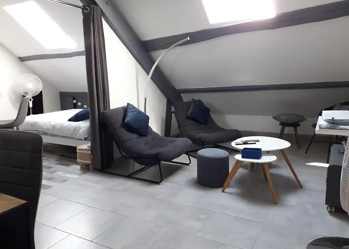 Loft Haut De Gamme Centre Montargis, Place De Parking, Local A Velos, Linge De Lits Et Serviettes, Coin Riviere Amenage, Hamac, Epicerie, Velos En Option, Tout Confort Jusqu\'A 4 Voyageurs