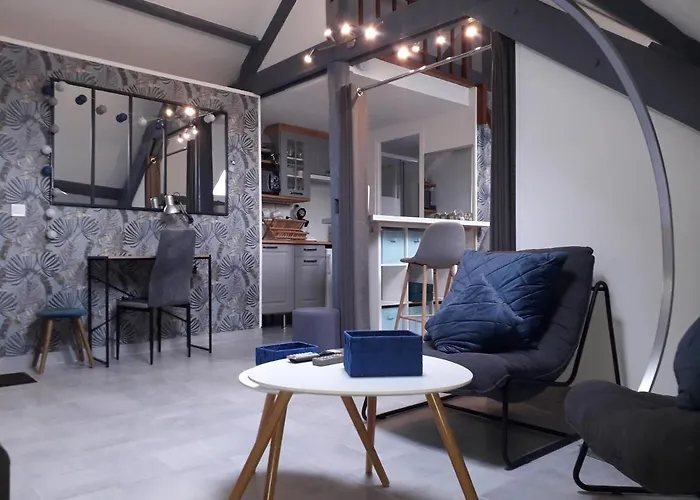 Loft Haut De Gamme Centre Montargis, Place De Parking, Local A Velos, Linge De Lits Et Serviettes, Coin Riviere Amenage, Hamac, Epicerie, Velos En Option, Tout Confort Jusqu\'A 4 Voyageurs