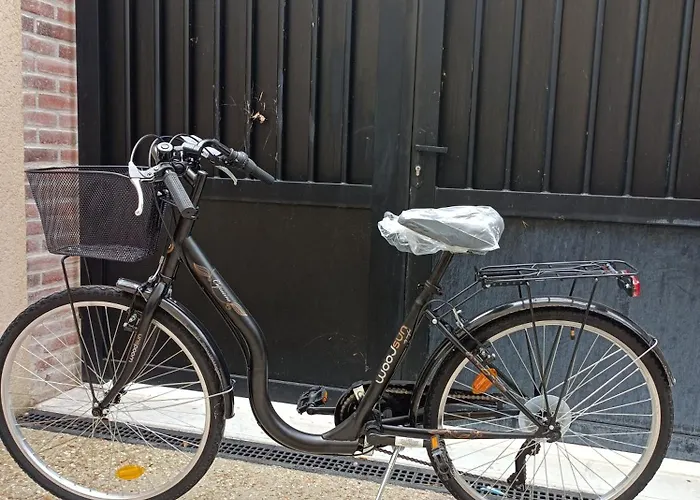 Loft Haut De Gamme Centre Montargis, Place De Parking, Local A Velos, Linge De Lits Et Serviettes, Coin Riviere Amenage, Hamac, Epicerie, Velos En Option, Tout Confort Jusqu\'A 4 Voyageurs