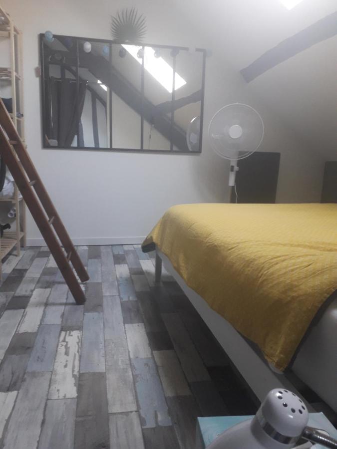 Apartment Loft Luxe Montargis: Haven With Bikes & River Views
