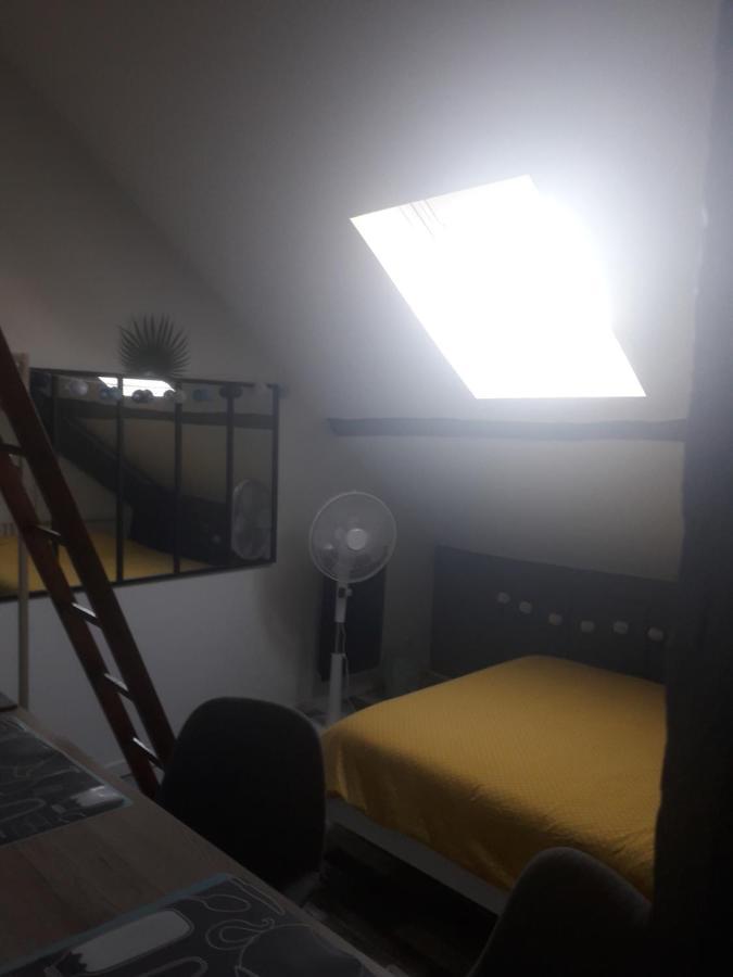 Apartment Loft Luxe Montargis: Haven With Bikes & River Views Montargis